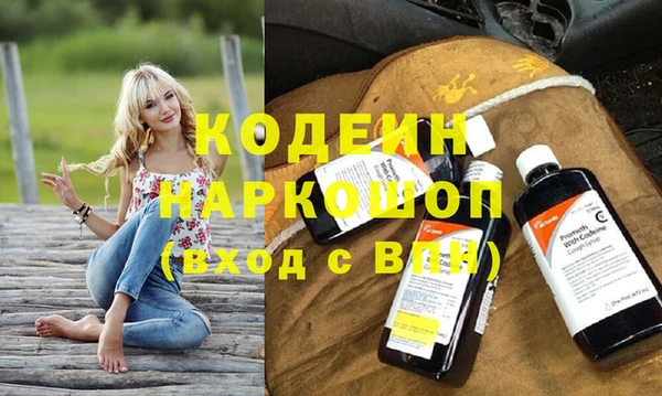 индика Иннополис