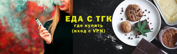 индика Иннополис