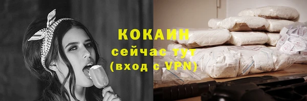 индика Иннополис