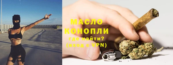 индика Иннополис