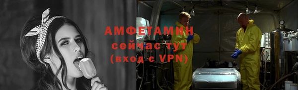 индика Иннополис