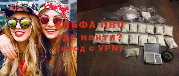 индика Иннополис